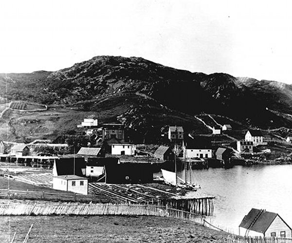 The Burin Harbour before the tsunami