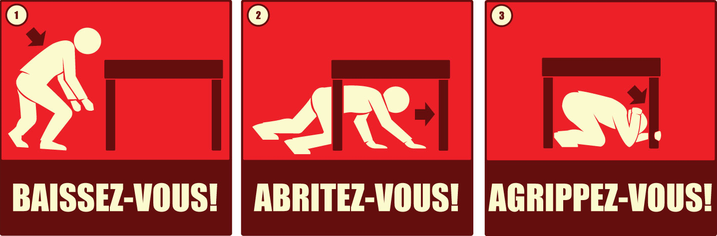 Graphique de l’exercice « se baisser, s’abriter et s’agripper »